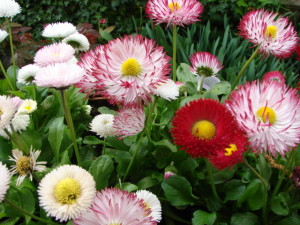 DSC00100