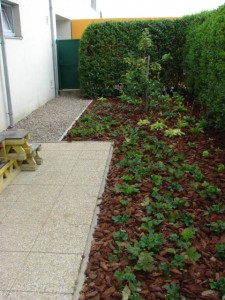 DSC01487