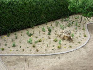 DSC01483